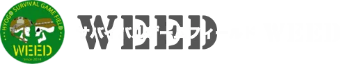 サバイバルゲームルールの真髄:プロが見た本当の楽しみ方